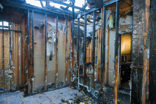 Professional Fire Damage Assessment technician working in Glenn Heights, TX